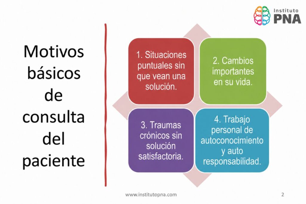 Formación para Psicólogos, Psicoterapeutas y Profesionales de la Salud – Instituto PNA