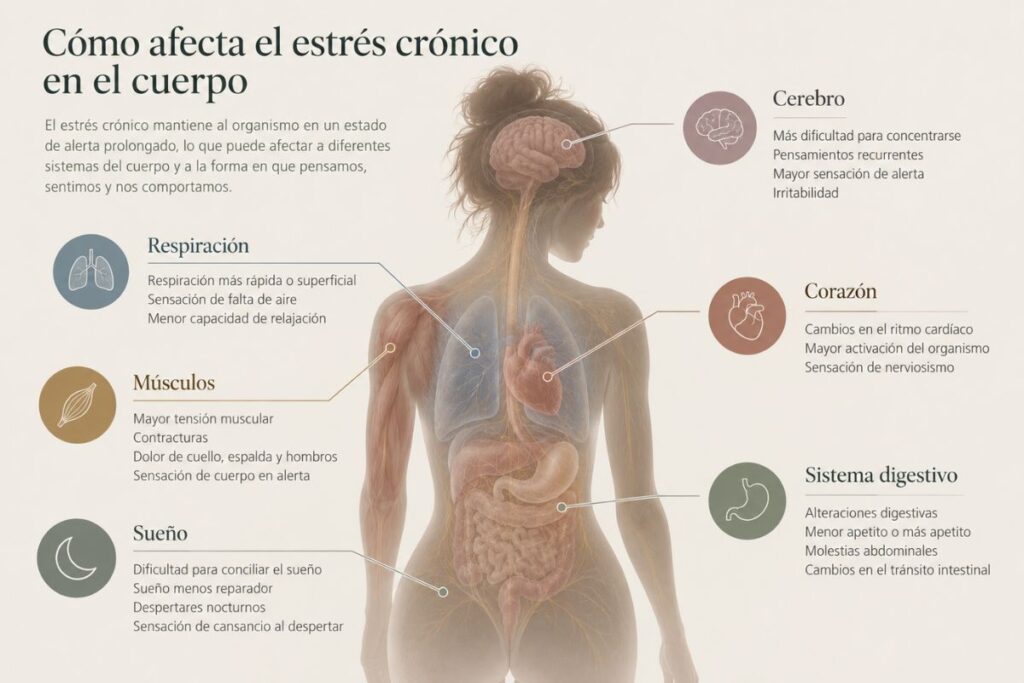 Qué ocurre en el cuerpo cuando hay estrés crónico – PNA